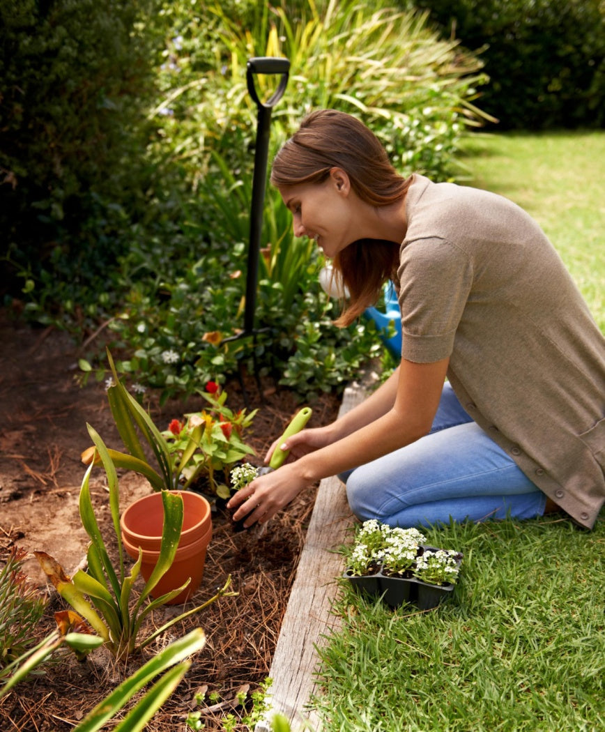 Home & Garden