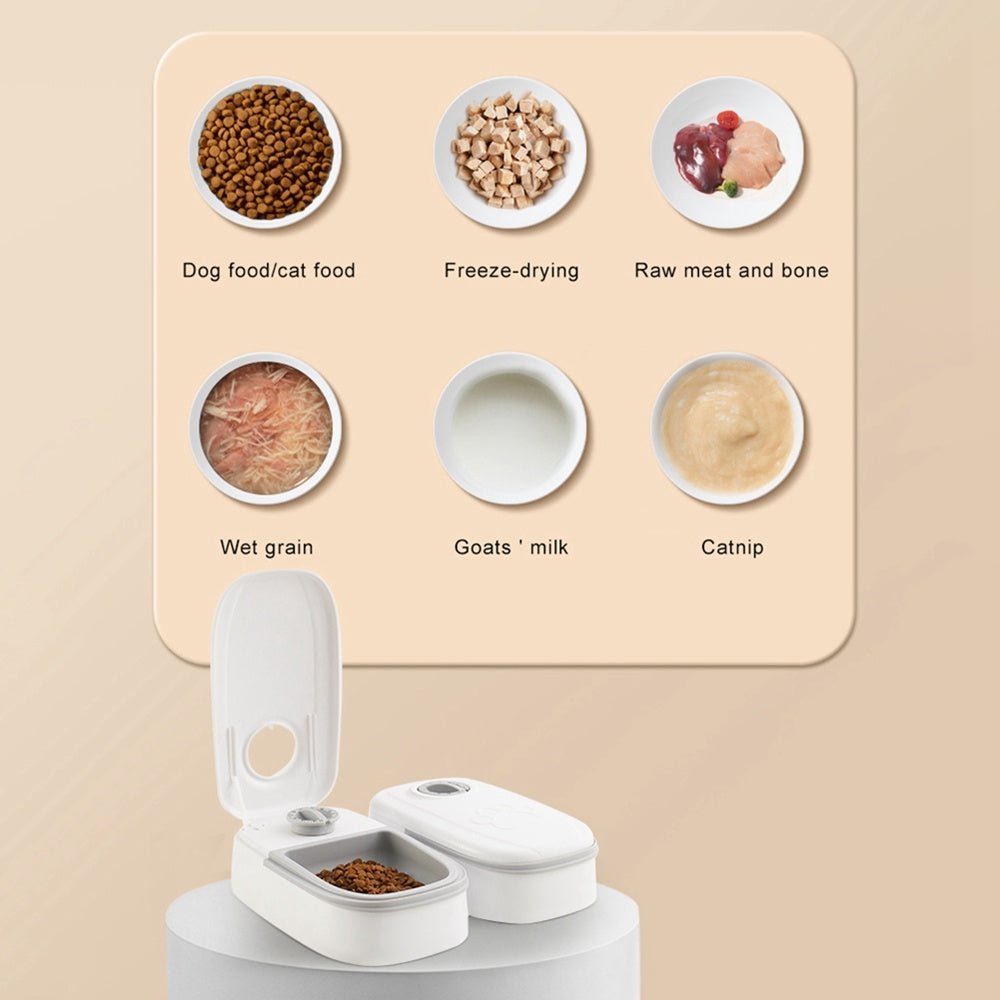Automatic Pet Feeder Smart Food Dispenser For Cats Dogs Timer Stainless Steel Bowl Auto Dog Cat Pet Feeding Pets Supplies EcoVital Hub