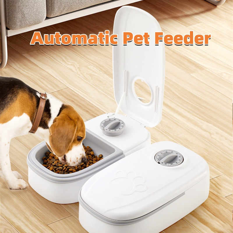 Automatic Pet Feeder Smart Food Dispenser For Cats Dogs Timer Stainless Steel Bowl Auto Dog Cat Pet Feeding Pets Supplies EcoVital Hub